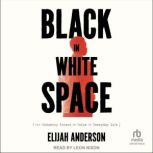 Black in White Space, Elijah Anderson