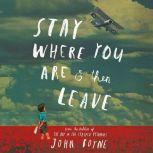 Stay Where You Are And Then Leave, John Boyne
