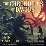 The Chronicles of Davids, David Afsharirad