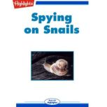 Spying on Snails, Ilil Arbel