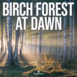 Birch Forest at Dawn, Sleep Master