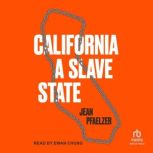 California, a Slave State, Jean Pfaelzer