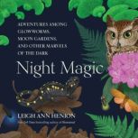 Night Magic, Leigh Ann Henion