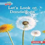 Lets Look at Dandelions, Katie Peters