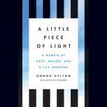 A Little Piece of Light, Donna Hylton