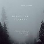Disrupted Journey, Nate Brooks