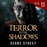 Terror in the Shadows Vol. 11, Scare Street