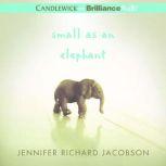 Small as an Elephant, Jennifer Richard Jacobson