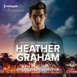 Undercover Connection, Heather Graham
