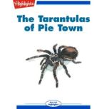 The Tarantulas of Pie Town, Jennifer Owings Dewey