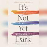 Its Not Yet Dark, Simon Fitzmaurice