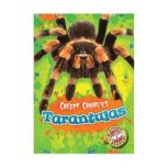 Tarantulas, Kari Schuetz