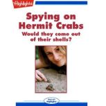 Spying on Hermit Crabs, Jennifer Davidson