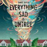Everything Sad is Untrue, Daniel Nayeri