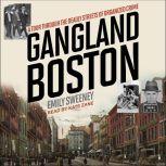 Gangland Boston A Tour Through the Deadly Streets of Organized Crime, Emily Sweeney