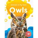 Owls, Amy McDonald