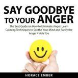 Say Goodbye to Your Anger The Best Guide on How to Eliminate Anger, Learn Calming Techniques to Soothe Your Mind and Pacify the Anger Inside You, Horace Ember