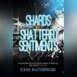 Shards of Shattered Sentiments, John Baltisberger