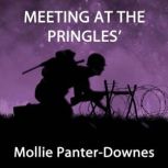 Meeting at the Pringles, Mollie PanterDownes