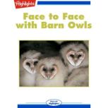Face to Face with Barn Owls, Chris Dietel