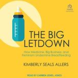 The Big Letdown, Kimberly Seals Allers