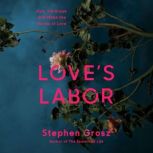 Loves Labor, Stephen Grosz