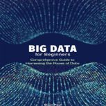 Big Data for Beginners, Brian Paul