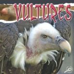 Vultures, Julie Lundgren