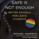 Safe Is Not Enough Better Schools for LGBTQ Students, Michael Sadowski