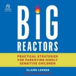 Big Reactors, Claire Lerner
