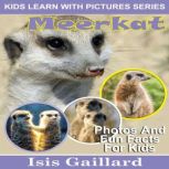 Meerkat Photos and Fun Facts for Kids, Isis Gaillard
