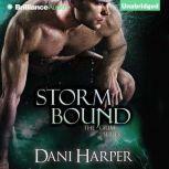 Storm Bound, Dani Harper