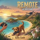 remote, Sally Cook