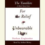 The Tumblers, Nathan Englander