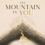 The Mountain Is You, Briefly Summaries