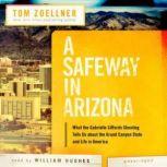 A Safeway in Arizona What the Gabrielle Giffords Shooting Tells Us about the Grand Canyon State and Life in America, Tom Zoellner
