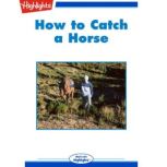 How to Catch a Horse, Will Doig