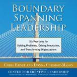 Boundary Spanning Leadership: Six Practices for Solving Problems, Driving Innovation, and Transforming Organizations, Donna Chrobot-Mason