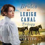 Brides of Lehigh Canal Trilogy, Wanda E Brunstetter