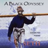 A Black Odyssey, SETH