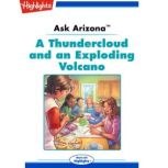 Ask Arizona A Thundercloud and an Ex..., Lissa Rovetch