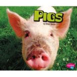 Pigs, Sheri Doyle