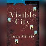 Visible City, Tova Mirvis