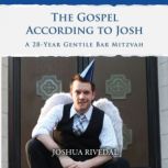 The Gospel According to Josh A 28Ye..., Joshua Rivedal