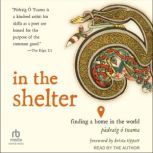 In the Shelter, Padraig O Tuama