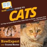HowExpert Guide to Cats 101 Tips to Learn How to Get, Take Care of, Raise, and Love Cats as a Cat Guardian, HowExpert