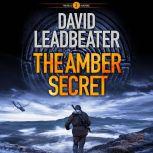 The Amber Secret, David Leadbeater