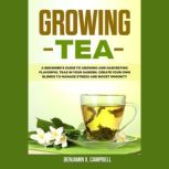 Growing Tea, Benjamin X. Campbell