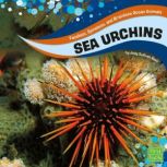 Sea Urchins, Jody Rake