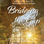 Bridging The Gap, Jeff Rogers